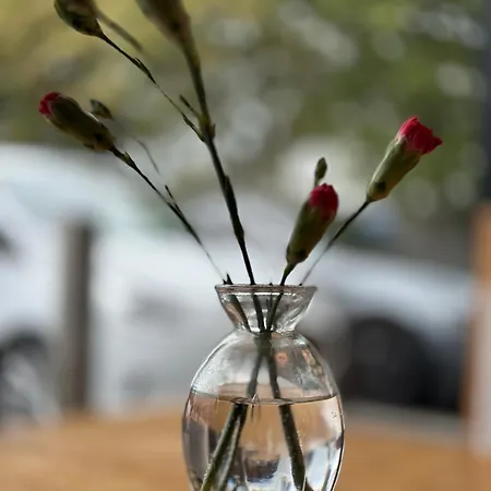 Four Bedroomed Townhouse * ليتيركيني