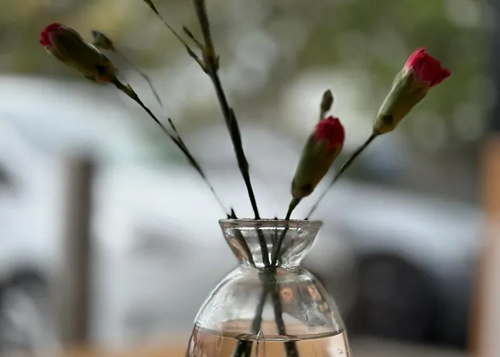 Four Bedroomed Townhouse * 莱特肯尼